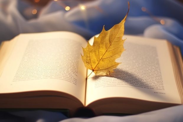 分类招生填志愿的时候没有填那个学校 补录的时候可以去吗？
