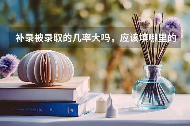 补录被录取的几率大吗，应该填哪里的学校被录取几率大，本人是贵州考生，离本科线差九分，