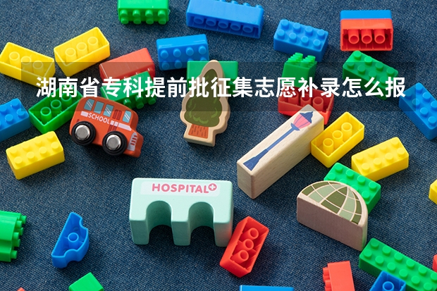 湖南省专科提前批征集志愿补录怎么报