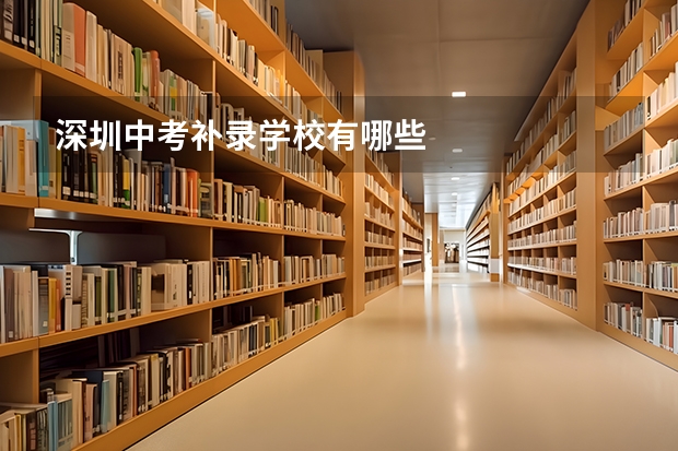 深圳中考补录学校有哪些