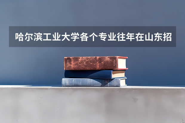 哈尔滨工业大学各个专业往年在山东招生多少人