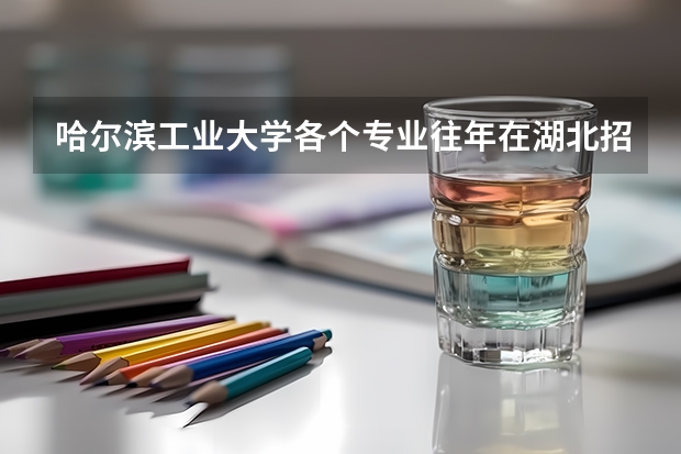 哈尔滨工业大学各个专业往年在湖北招生多少人