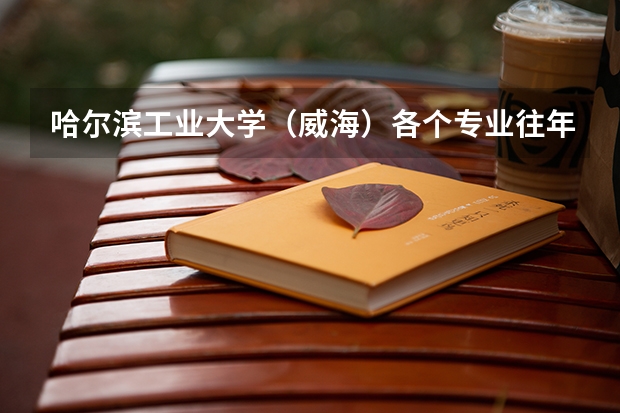 哈尔滨工业大学（威海）各个专业往年在湖北招生多少人