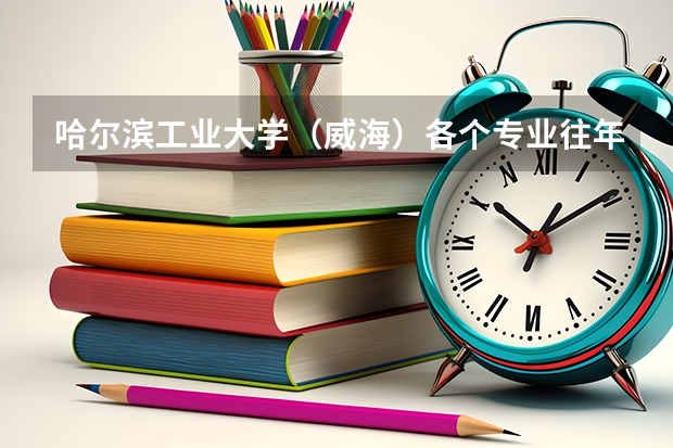 哈尔滨工业大学（威海）各个专业往年在内蒙古招生多少人