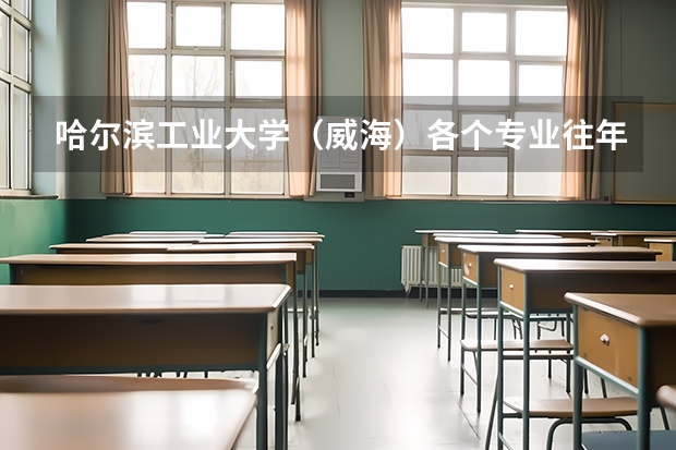 哈尔滨工业大学（威海）各个专业往年在海南招生多少人