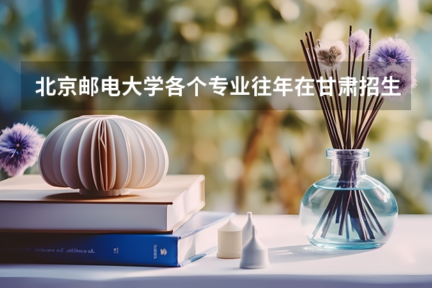 北京邮电大学各个专业往年在甘肃招生多少人