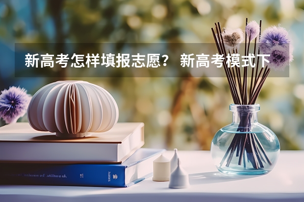 新高考怎样填报志愿？ 新高考模式下的志愿填报是怎样的？