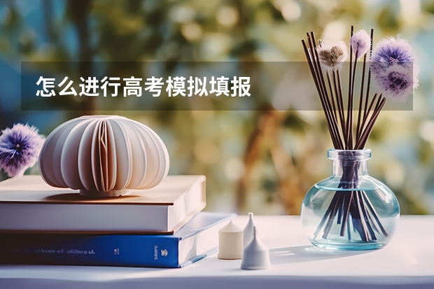 怎么进行高考模拟填报