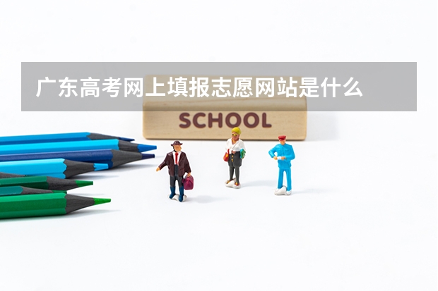 广东高考网上填报志愿网站是什么