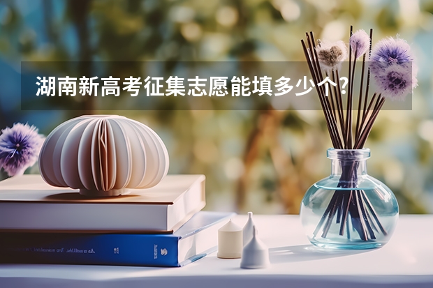 湖南新高考征集志愿能填多少个?