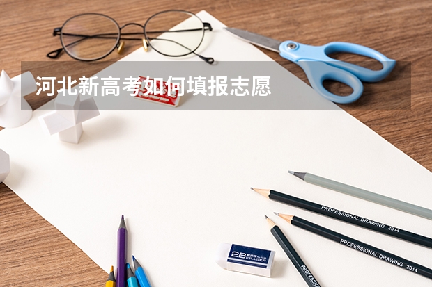 河北新高考如何填报志愿