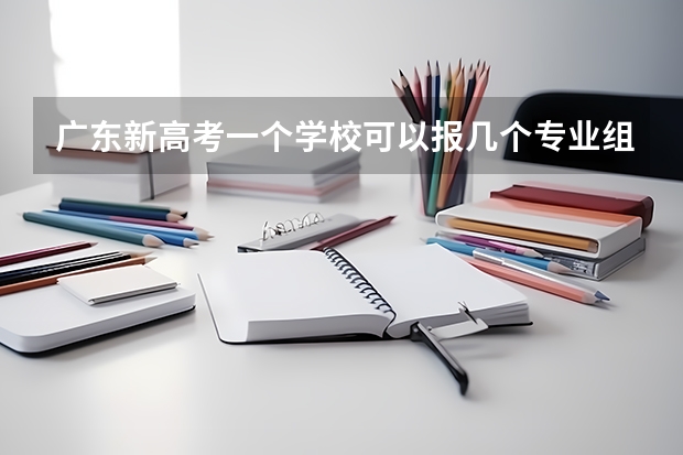 广东新高考一个学校可以报几个专业组（2023年广东高考志愿填报规则）