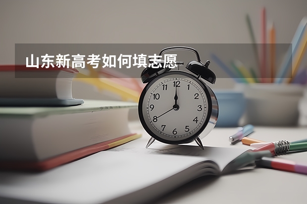 山东新高考如何填志愿