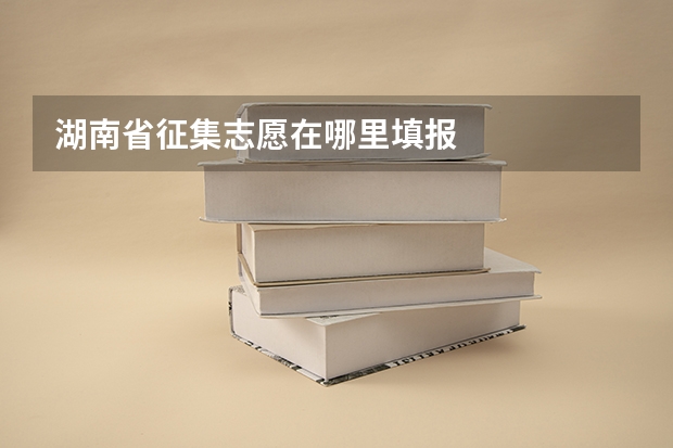 湖南省征集志愿在哪里填报