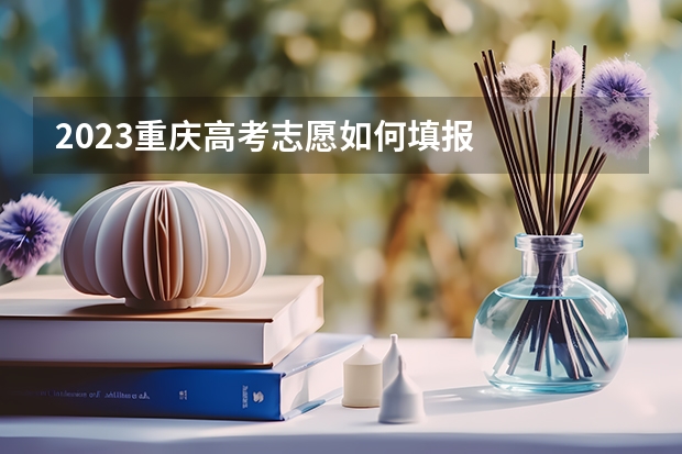 2023重庆高考志愿如何填报