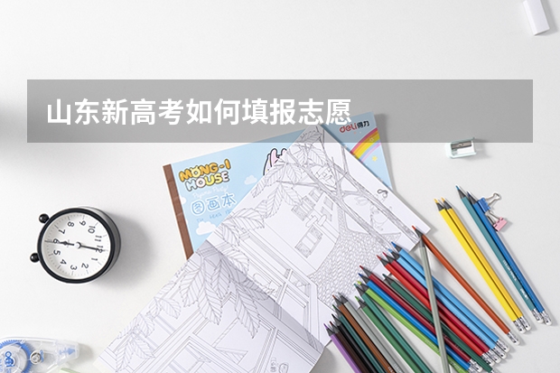 山东新高考如何填报志愿