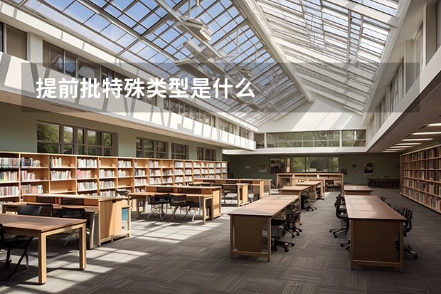 提前批特殊类型是什么