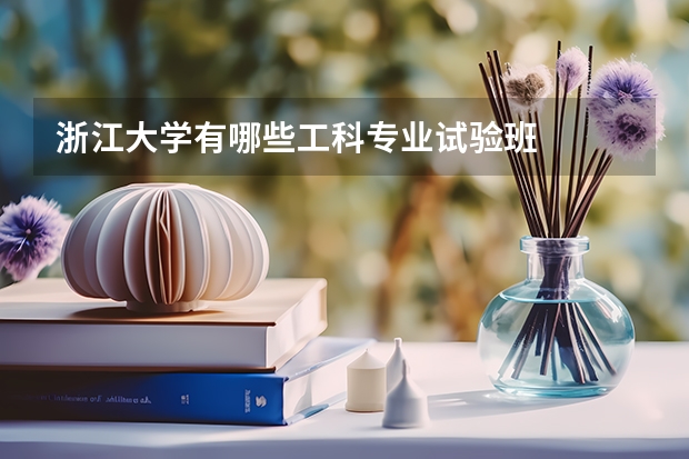浙江大学有哪些工科专业试验班
