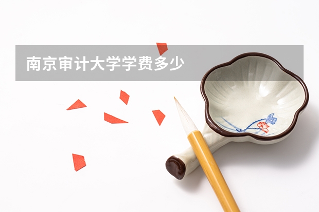 南京审计大学学费多少