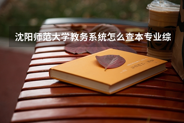 沈阳师范大学教务系统怎么查本专业综合排名