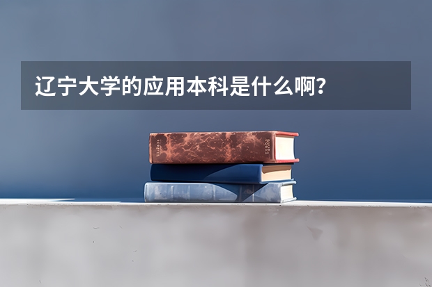 辽宁大学的应用本科是什么啊？