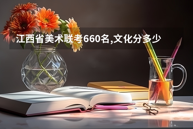 江西省美术联考660名,文化分多少可以上211大学？