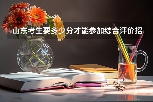 山东考生要多少分才能参加综合评价招生考试