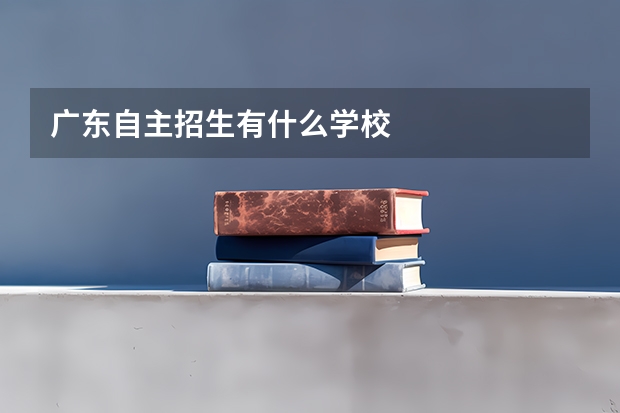 广东自主招生有什么学校