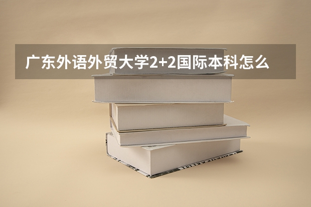 广东外语外贸大学2+2国际本科怎么样