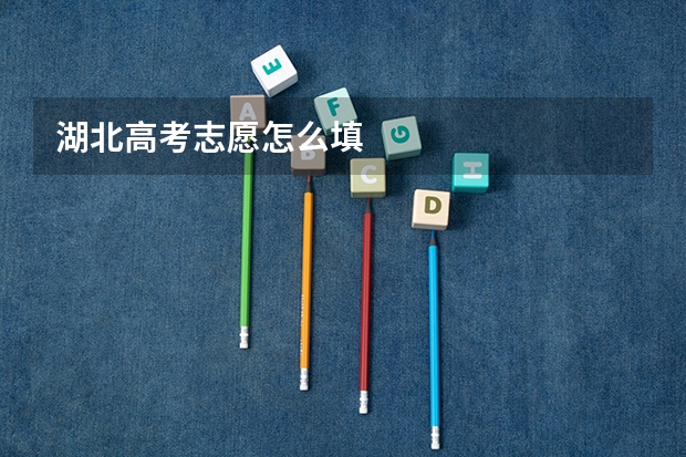 湖北高考志愿怎么填